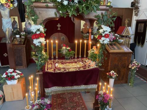 mini IMG 5587