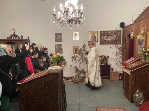 освећење Бадњака