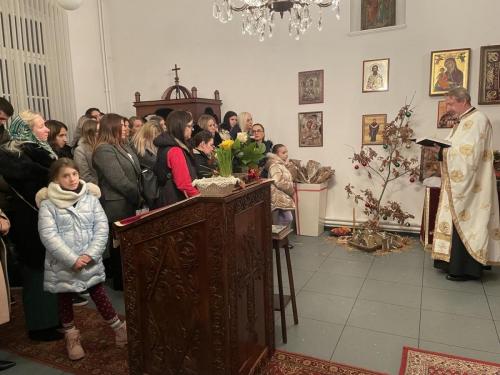 освећење Бадњака