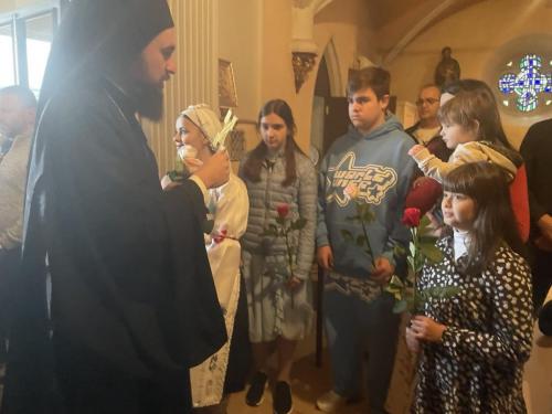 mini 20240604 101816192 iOS