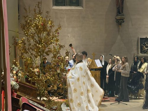 mini osvecenje-badnjaka-2