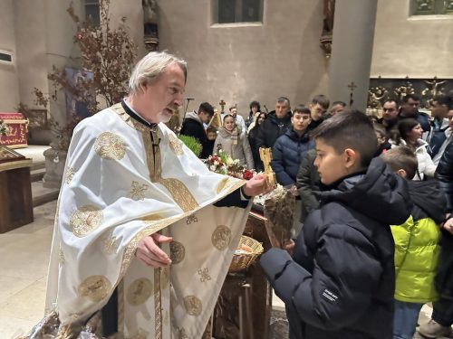 mini podela-badnjaka